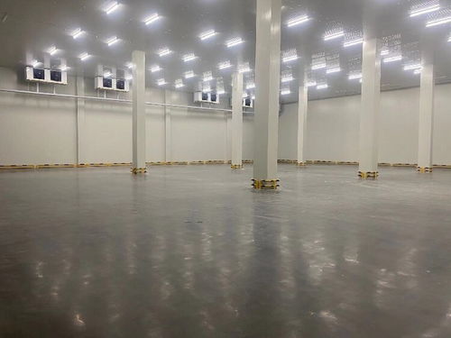 貨運物流中的信譽與專業(yè)服務(wù) 化工品、冷鏈整車與零擔運輸解析